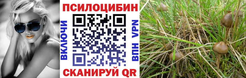 Псилоцибиновые грибы GOLDEN TEACHER  дарнет шоп  Монино 